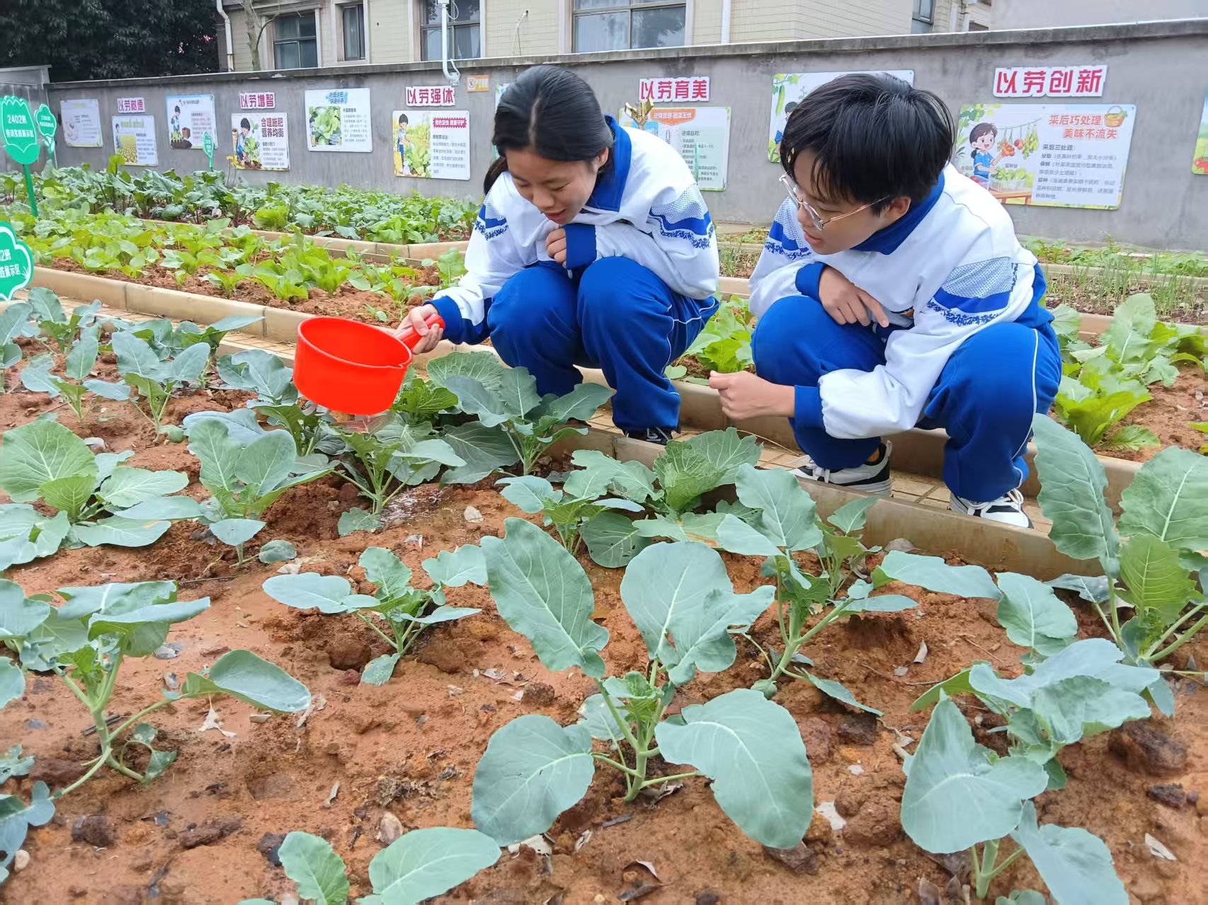 145b8182fecc91ff9029500079c55c3b