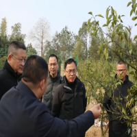 锚定香柚产业 职教聚力赋能